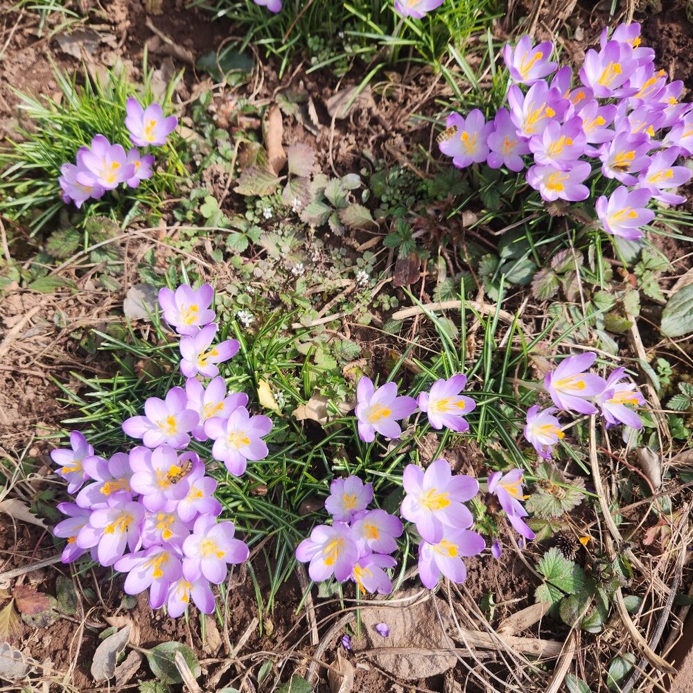 Meet your Posher, Anjanette